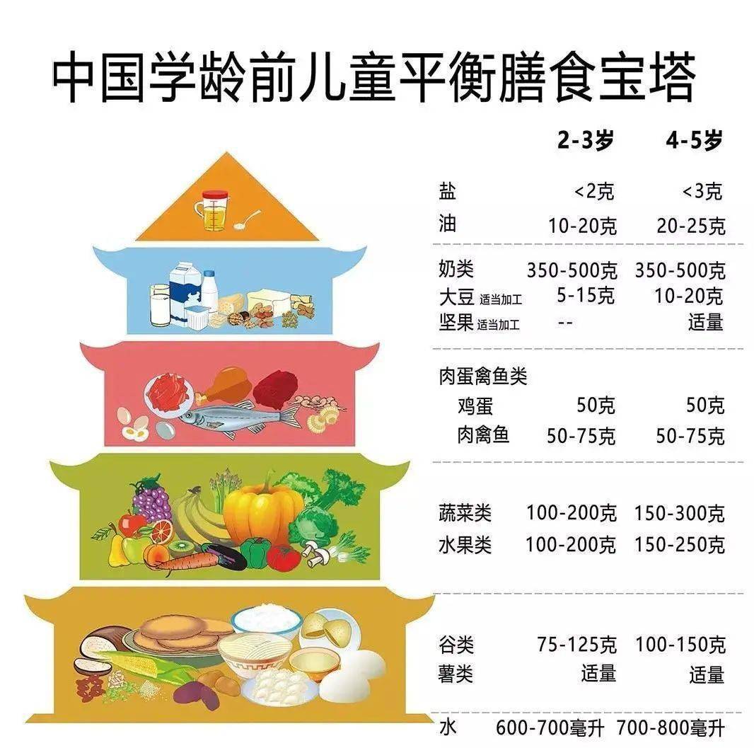 “吃出一道彩虹”——科學膳食、營養均衡與美味無窮的奧秘